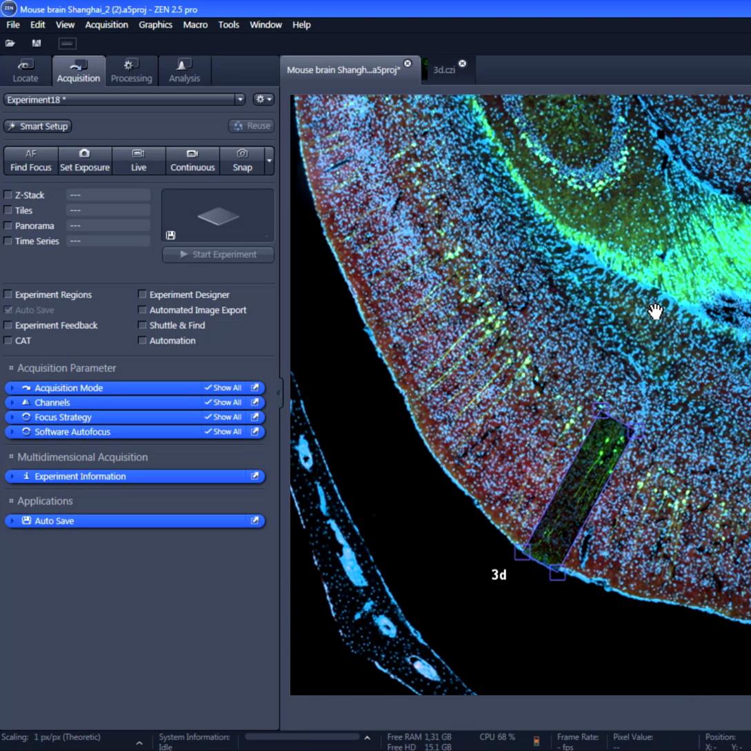 ZEN Connect: From acquiring an overview image, to defining ROIs, and when changing between different imaging systems: You save time and always stay on top of things.