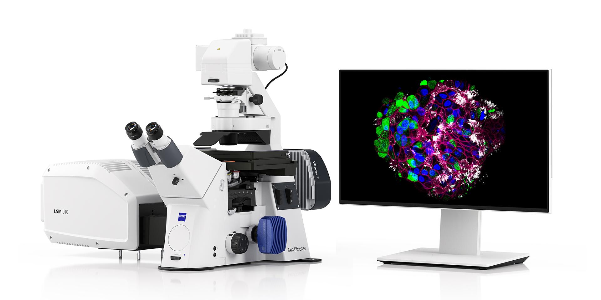 ZEISS arivis Pro