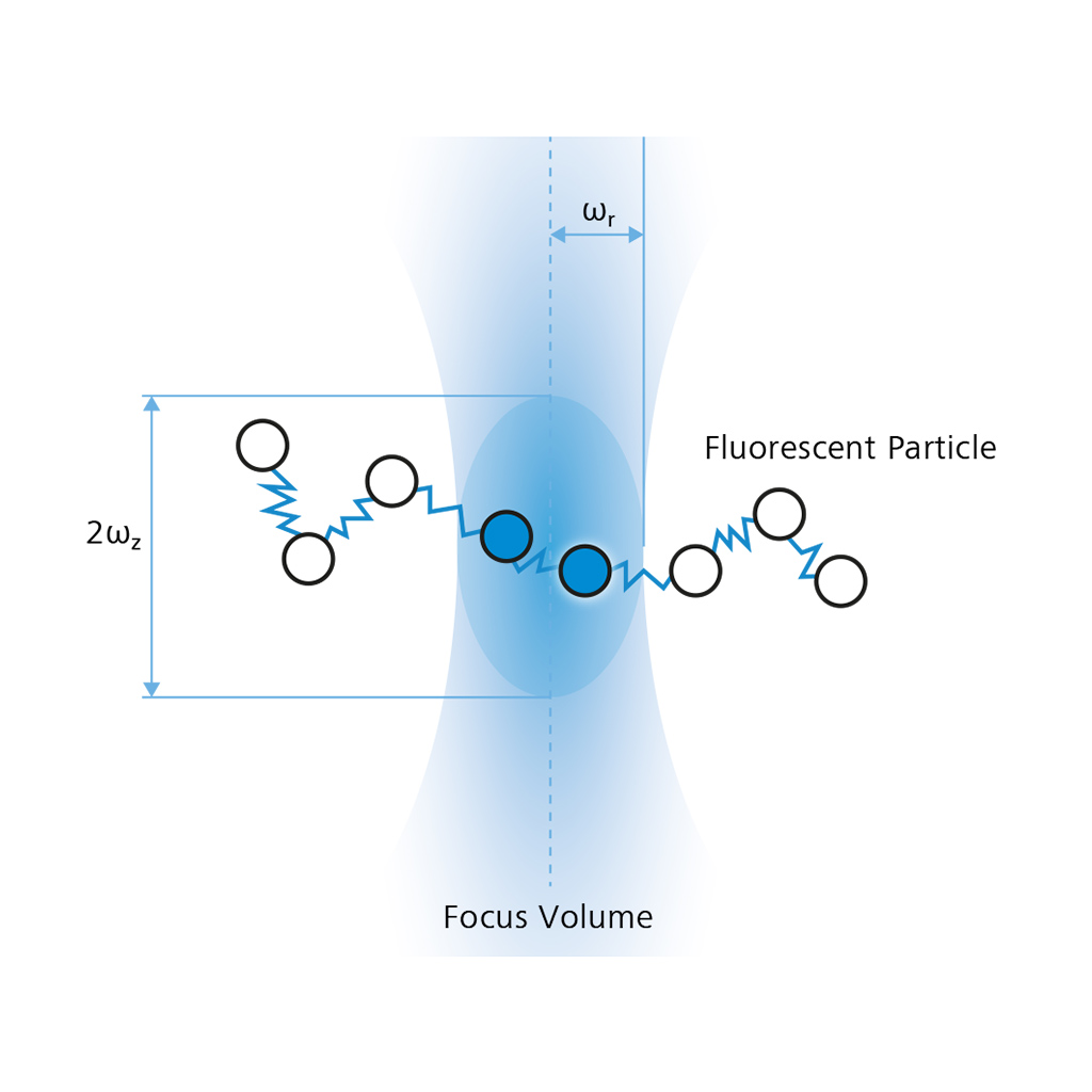 Principe de la spectroscopie de corrélation de fluorescence (FCS). Trajectoire d'une particule fluorescente à travers le volume de détection 