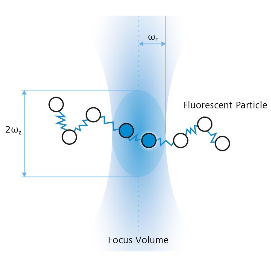 Principe de la spectroscopie de corrélation de fluorescence (FCS). Trajectoire d'une particule fluorescente à travers le volume de détection