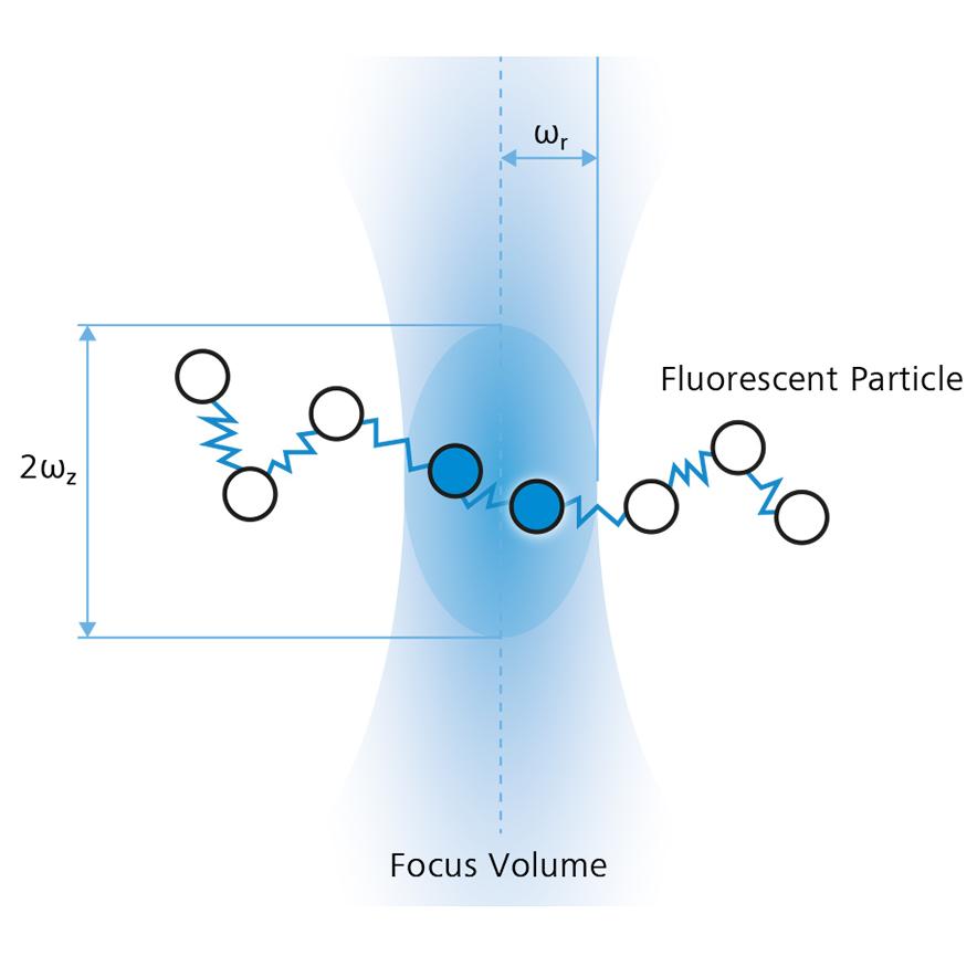 Prinzip der Fluoreszenzkorrelationsspektroskopie (FCS) Bewegungsbahn eines fluoreszierenden Teilchens durch das Detektionsvolumen