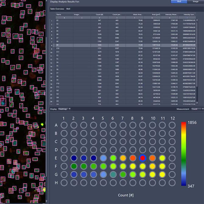 ZEN BioApps : transformez vos images en données précieuses – analysez vos images avec pertinence.