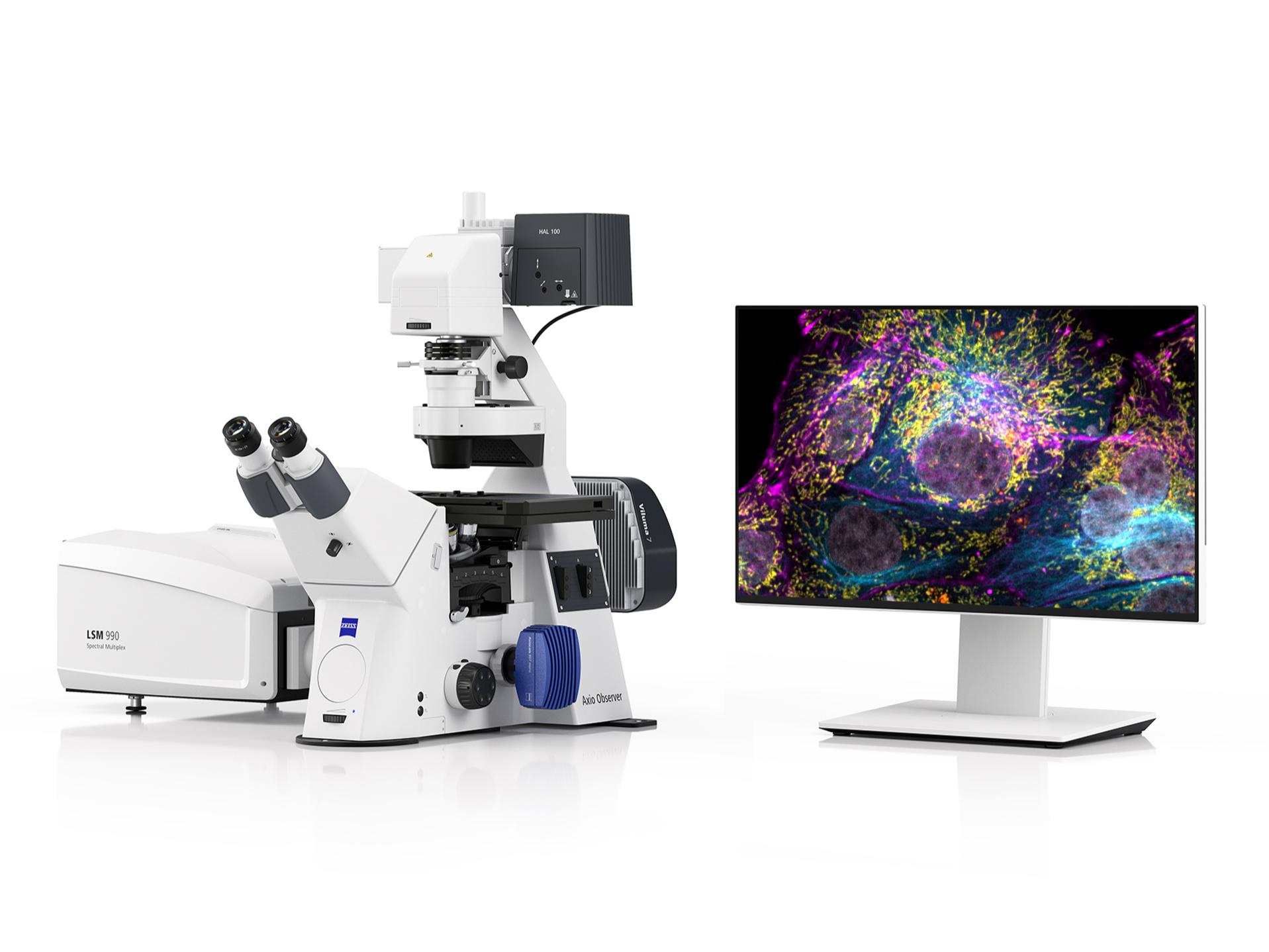 ZEISS arivis Pro