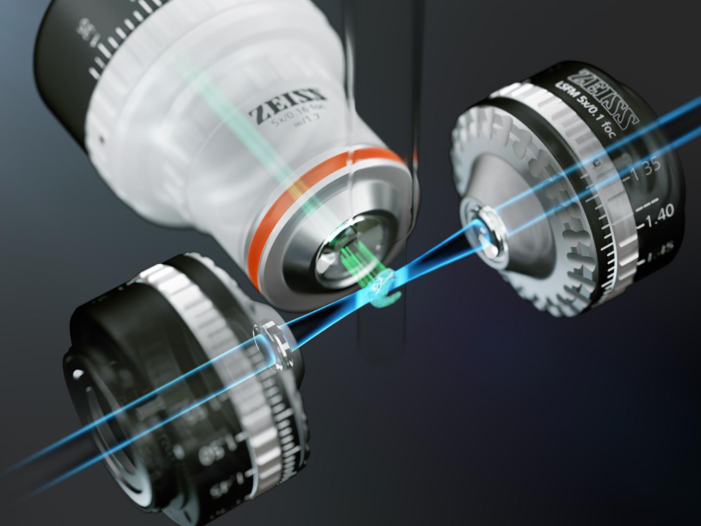 The Principle of Light Sheet Fluorescence Microscopy​