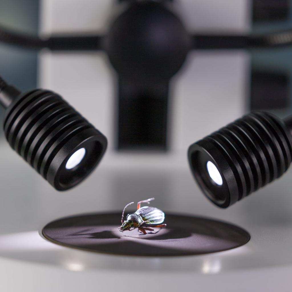 5:1ズーム搭載実体顕微鏡ZEISS Stemi 305