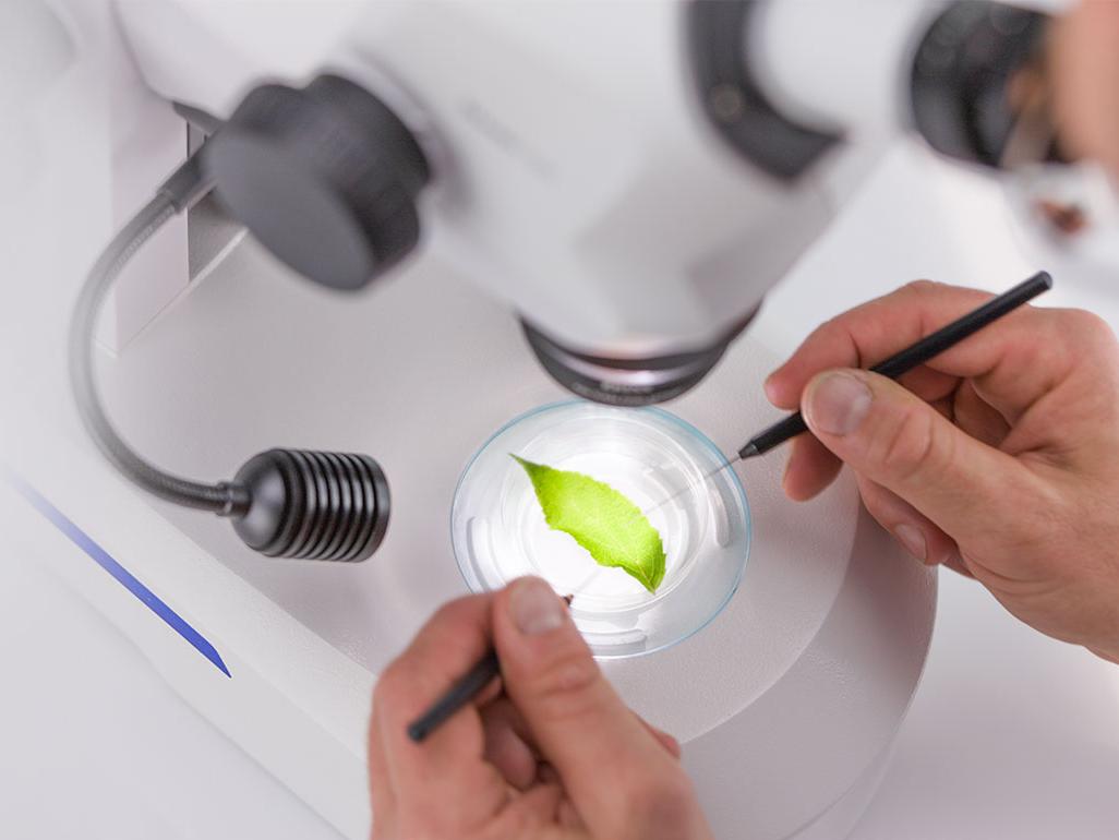 Buy or Try the Axioscope 5