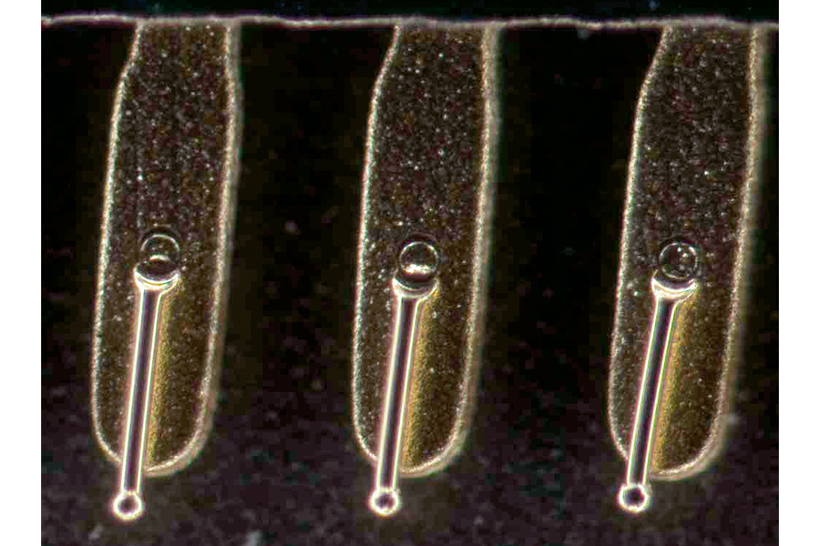 Semiconductor element, reflected light darkfield​ 