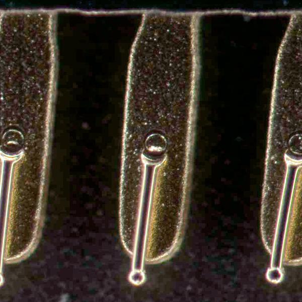 Elemento semiconductor, campo oscuro de luz reflejada​