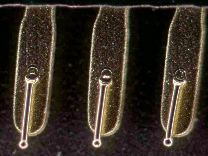 Elemento semiconductor, campo oscuro de luz reflejada​