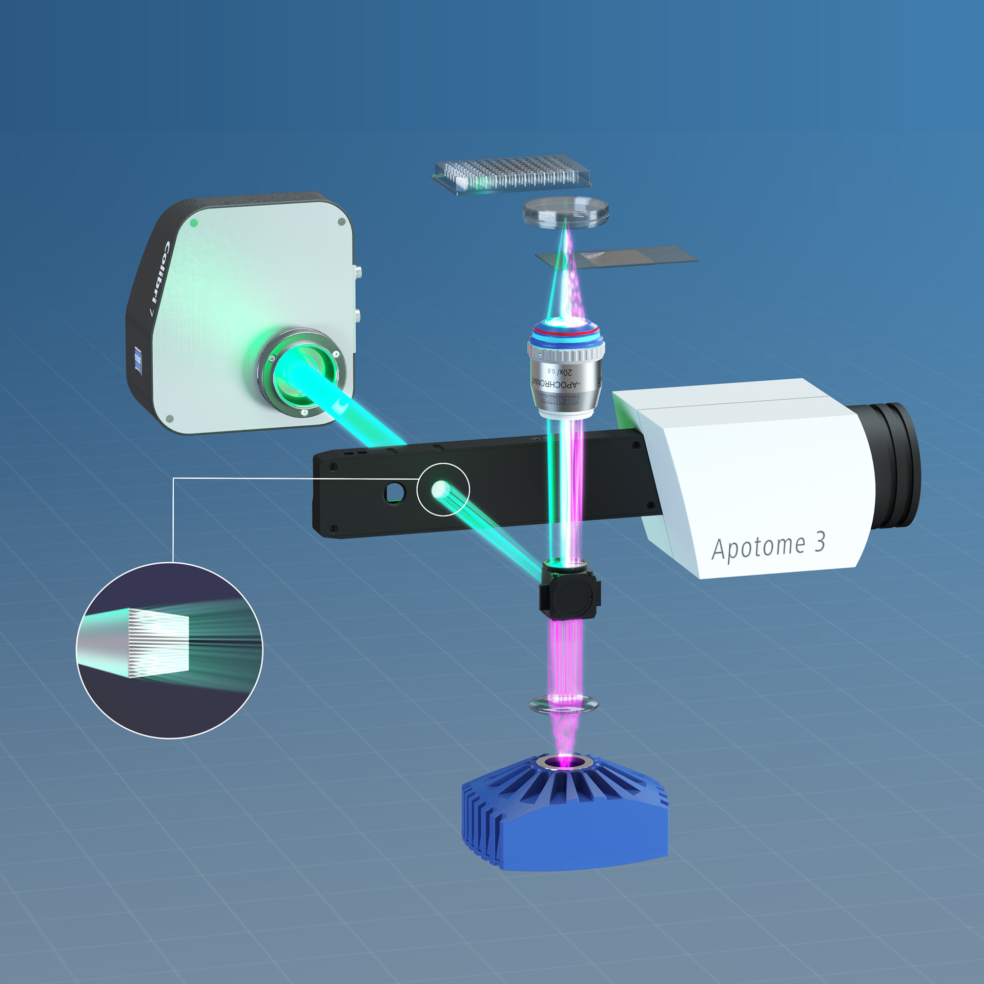 La technologie derrière l'instrument. Le sectionnement optique utilisant l'éclairage structuré permet de minimiser efficacement la lumière diffusée hors champ pour créer des images nettes et des rendus en 3D. 