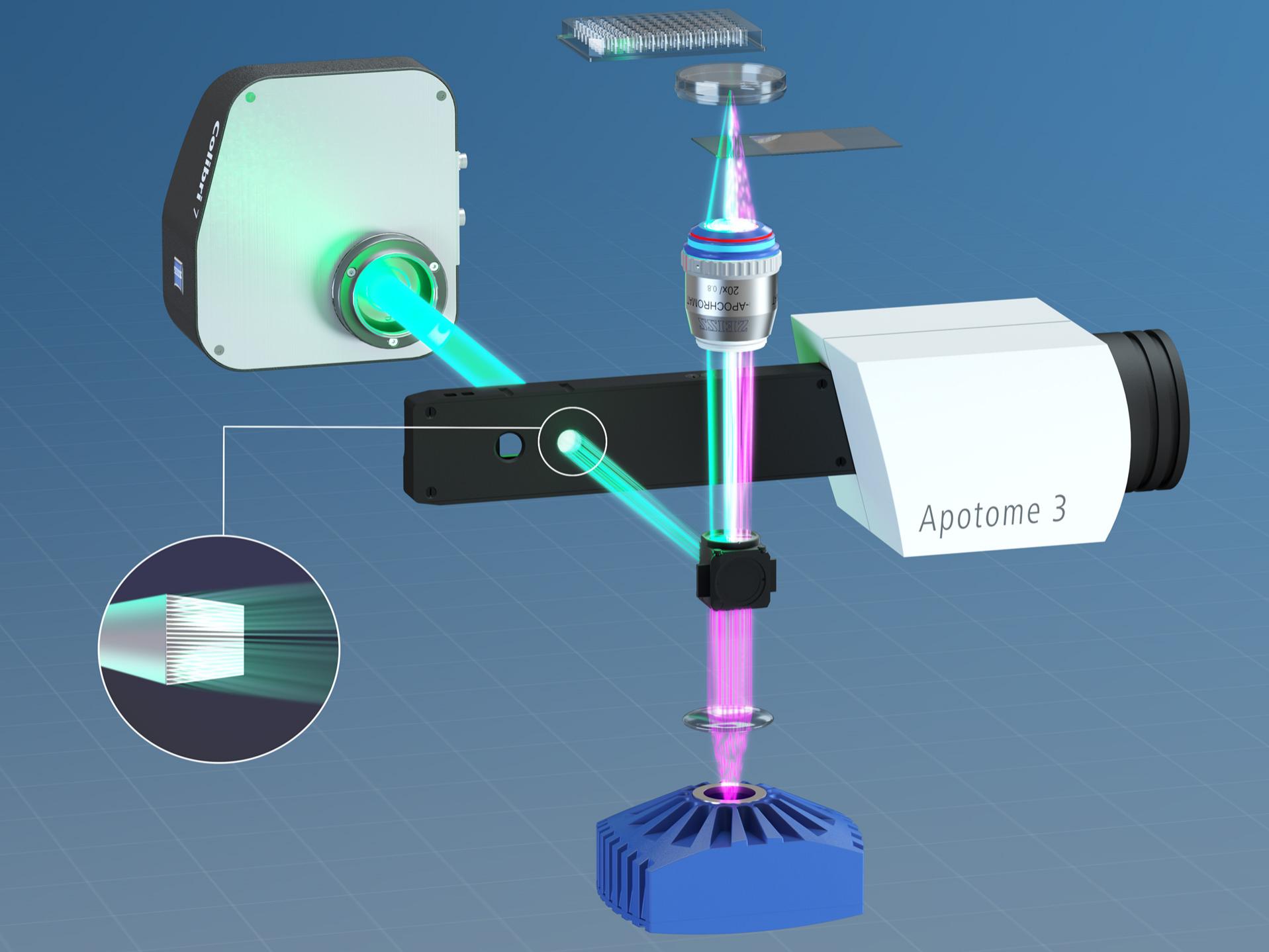 Die Technologie dahinter: Anhand von optischen Schnitten mit strukturierter Beleuchtung minimieren Sie Licht aus nichtfokalen Ebenen effizient, sodass gestochen scharfe Bilder und 3D-Renderings entstehen.