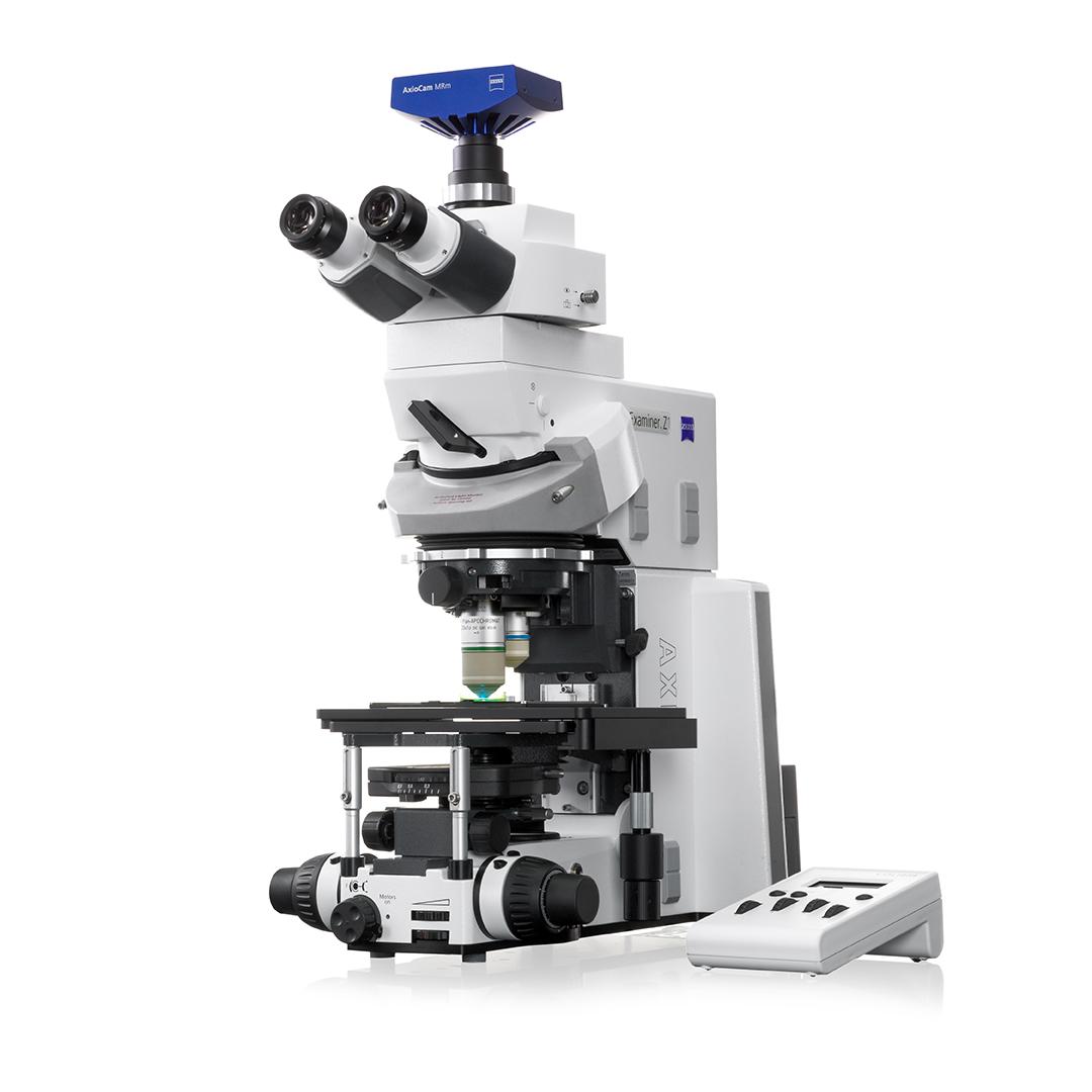パッチクランプ実験に適したステージ固定式顕微鏡