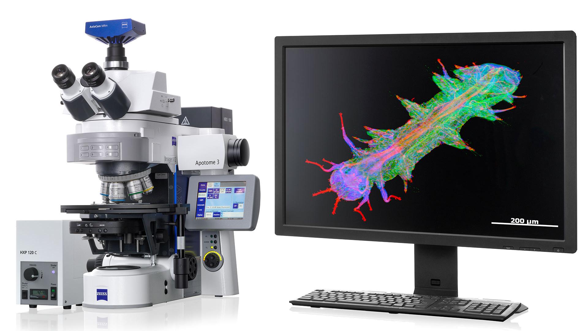 widefield/axio-imager-2-for-bio-life-science/axio-imager-2_apotome-3_system.jpg