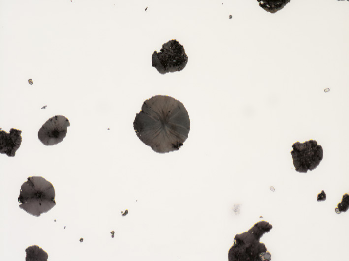 Fonte à graphite sphéroïdal, échantillon poli, site identique capturé avec différentes techniques de contraste (champ d'observation 265 µm). Champ clair 