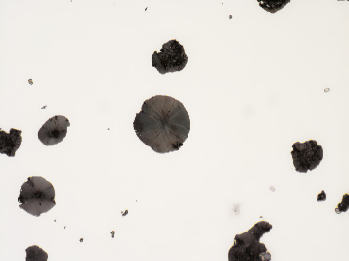 Cast iron with spherulitic graphite, polished sample, identical same site imaged with different contrasting techniques (field of view 265 µm). Brightfield 