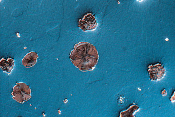 Hierro fundido con grafito esferulítico, muestra pulida, mismo sitio idéntico captado con diferentes técnicas de contraste (campo de visión de 265 µm). Contraste de interferencia diferencial circular (C-DIC)​