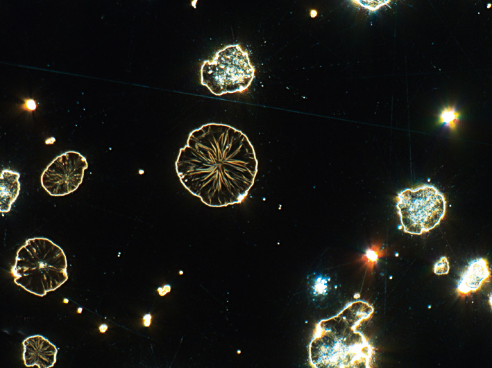 Cast iron with spherulitic graphite, polished sample, identical same site imaged with different contrasting techniques (field of view 265 µm). Polarization (crossed polars)​ 