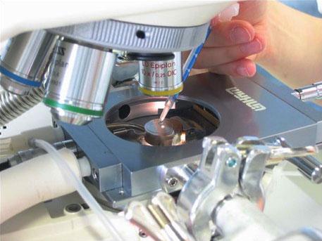 Thermomicroscopy: Flexible Documentation of Temperature Changes