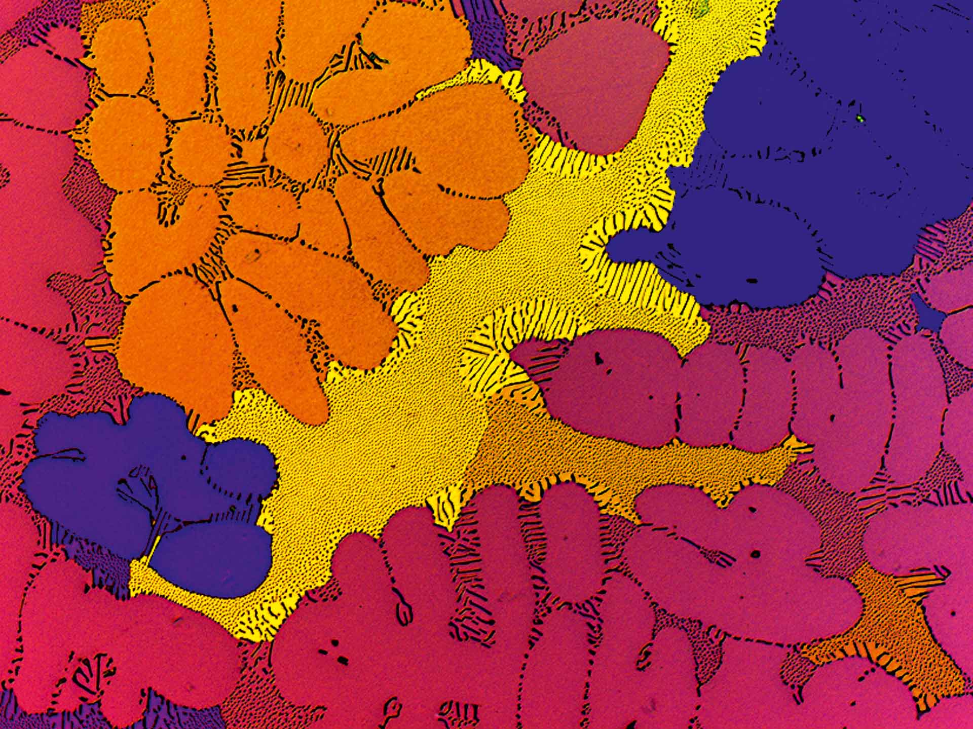 Materialwissenschaften – Metalle​ 