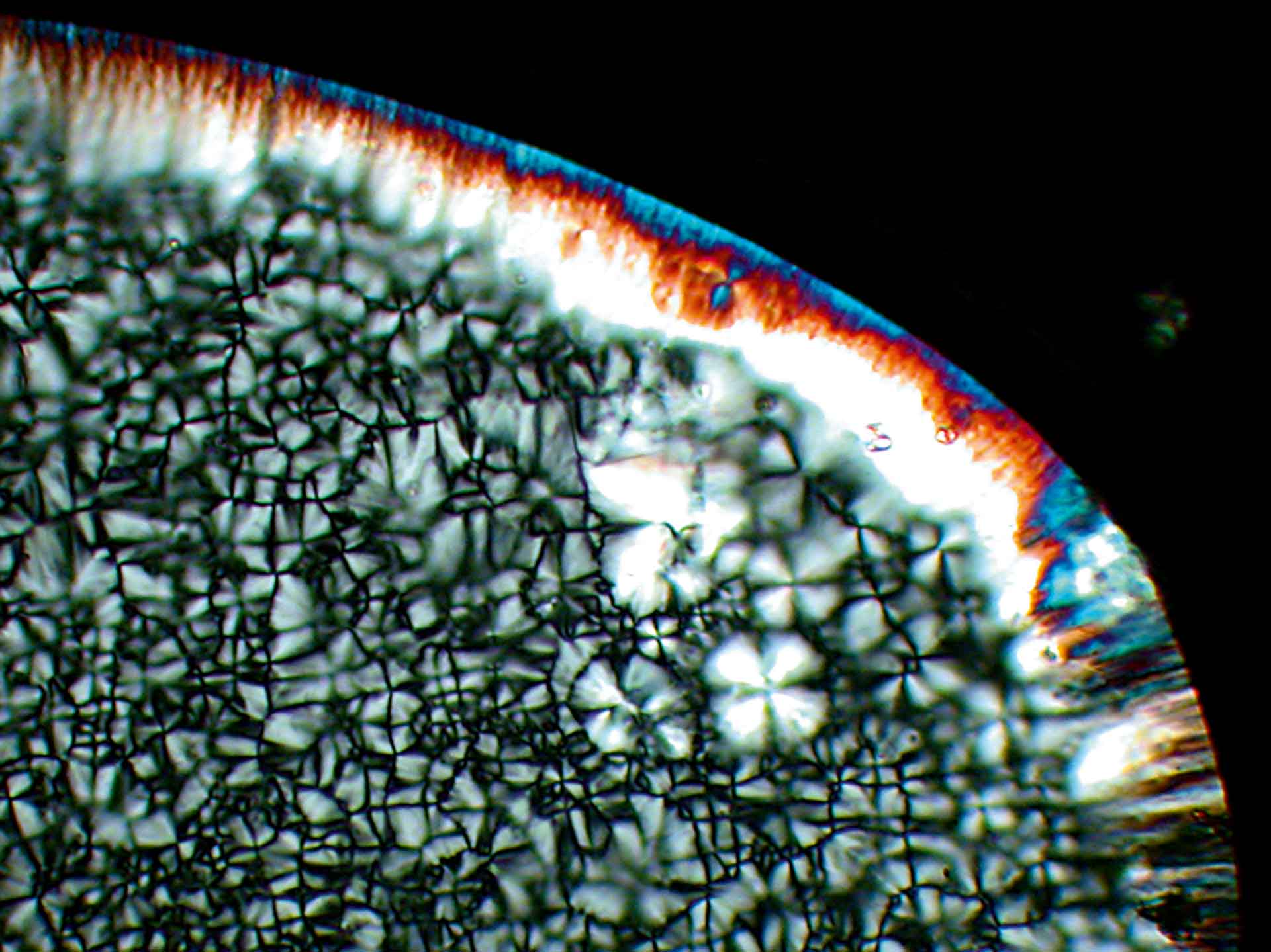 Ciencia de los materiales: cristalino líquido​ A. Getsis y A. Mudring, Universidad de Ruhr, Bochum, Alemania​