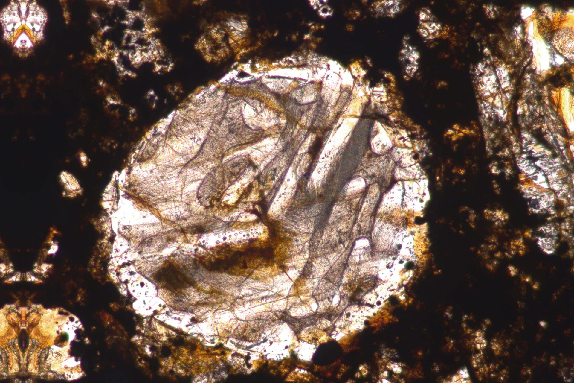 Bar olivine chondrule - Transmitted-light – Brightfield. Objective: EC Plan-NEOFLUAR 10x/0.30 Pol​