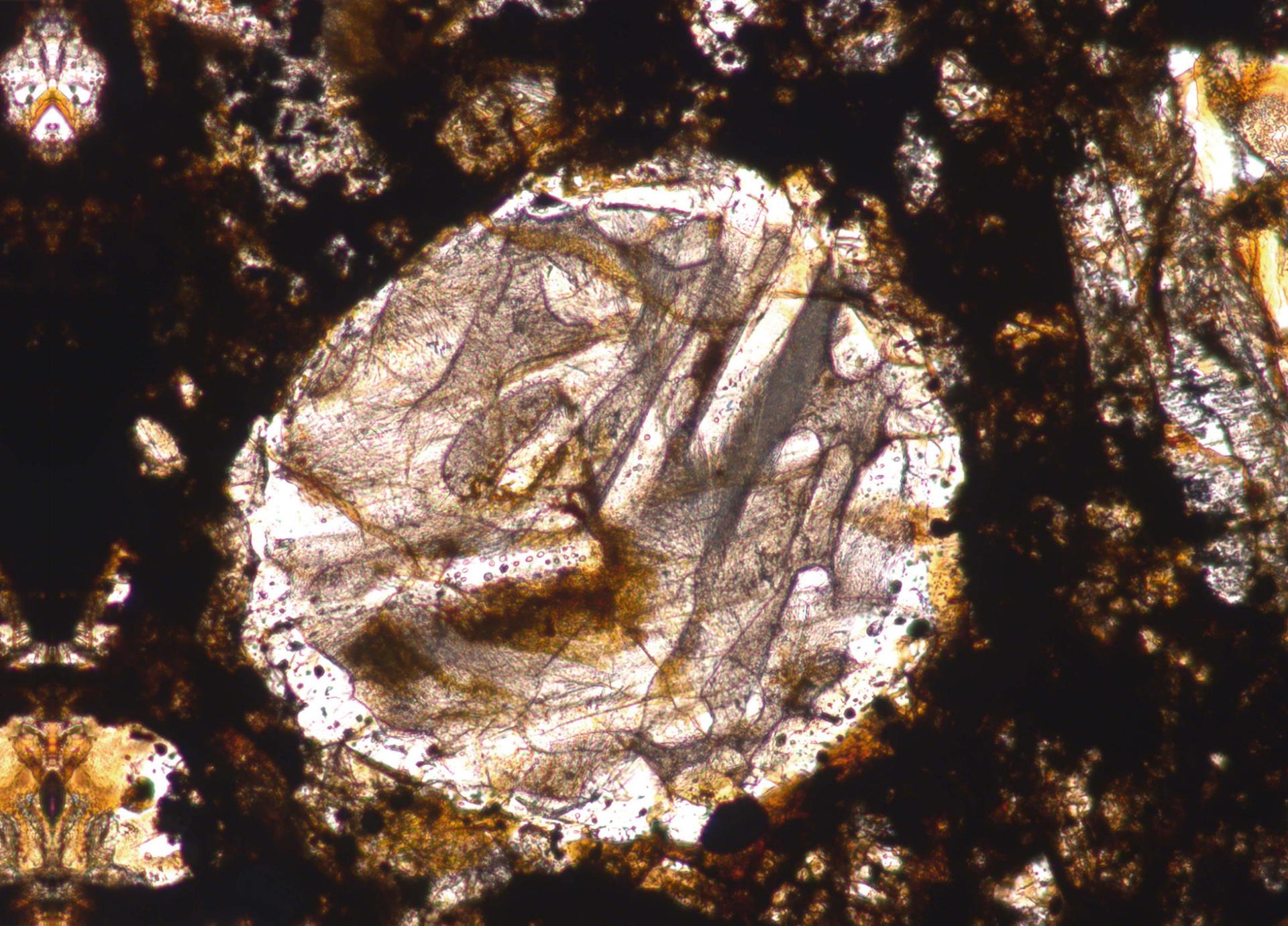 Bar olivine chondrule - Transmitted-light – Brightfield 