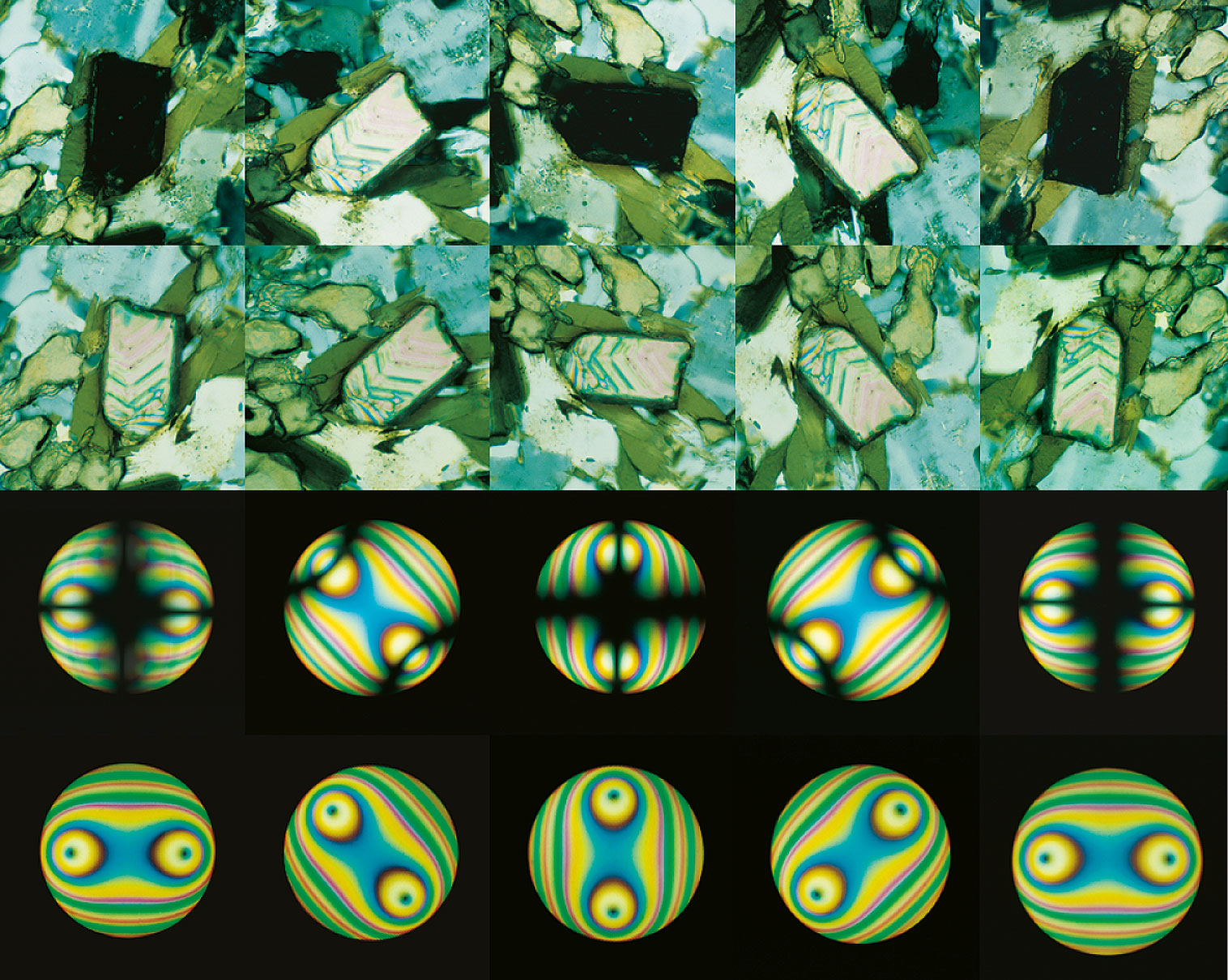 Comportement des cristaux optiquement anisotropes en lumière polarisée linéairement et circulairement, orthoscopie et conoscopie.