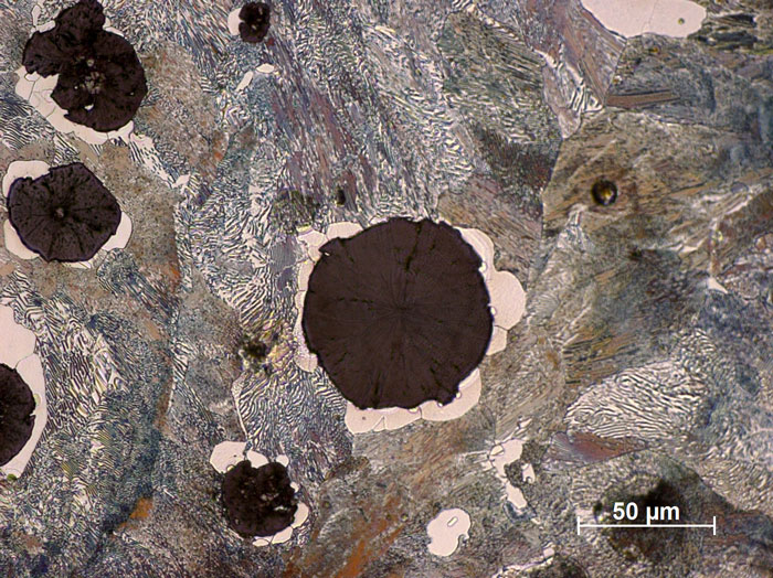 Spherulitic graphite in nodular cast iron, reflected light, brightfield 