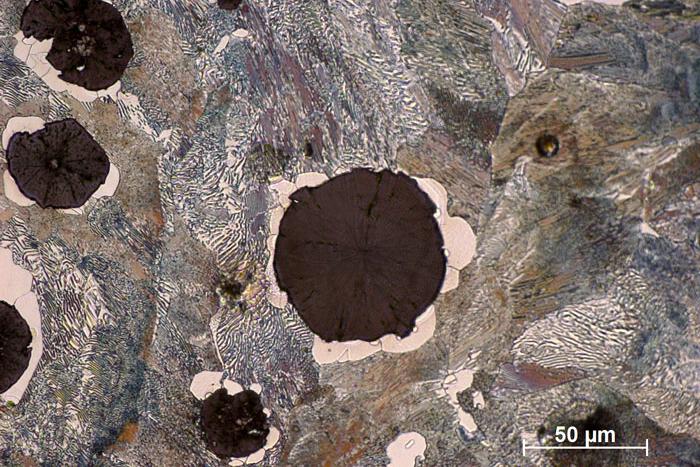 Spherulitic graphite in nodular cast iron, reflected light, brightfield