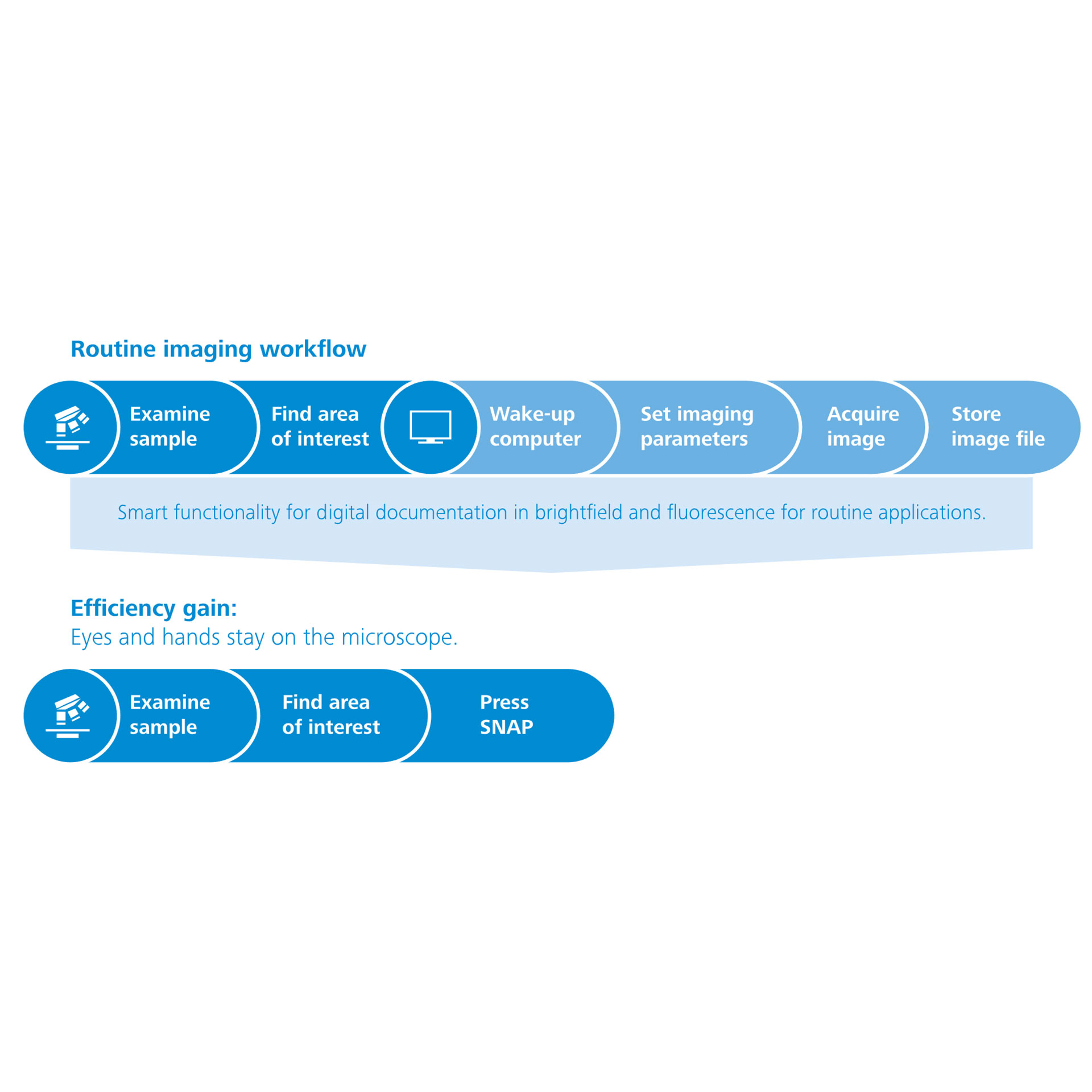 Processus d'imagerie de routine Axiolab 5