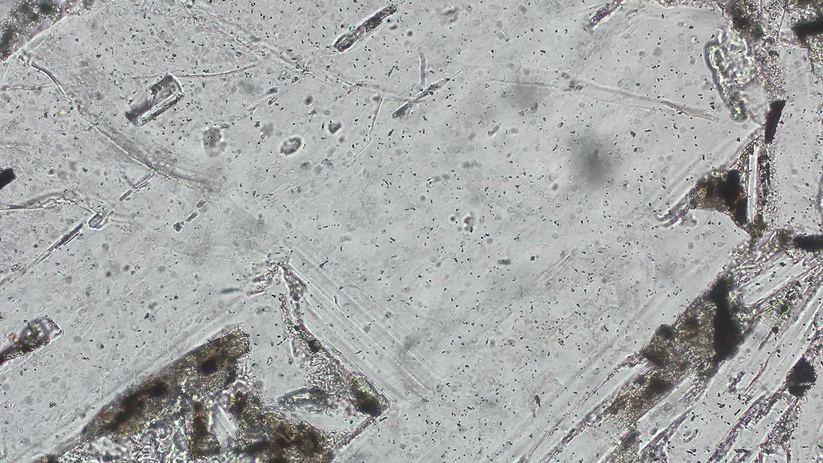 Fluorit, Durchlicht, Hellfeld, EC Plan-Neofluar 5×/0,16 Pol