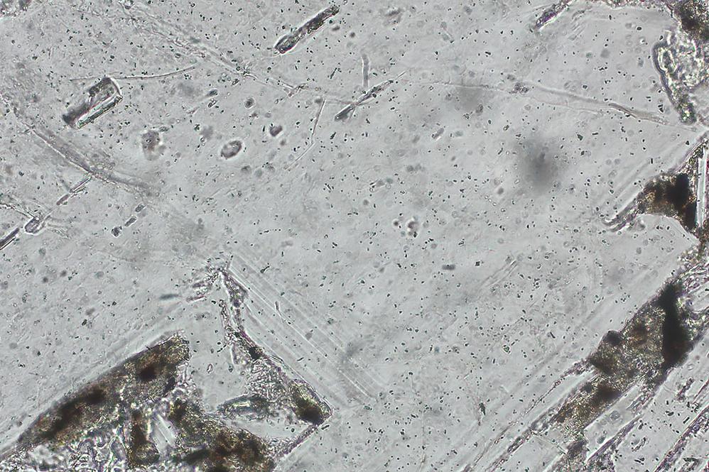 Fluorit, Durchlicht, Hellfeld, EC Plan-Neofluar 5×/0,16 Pol