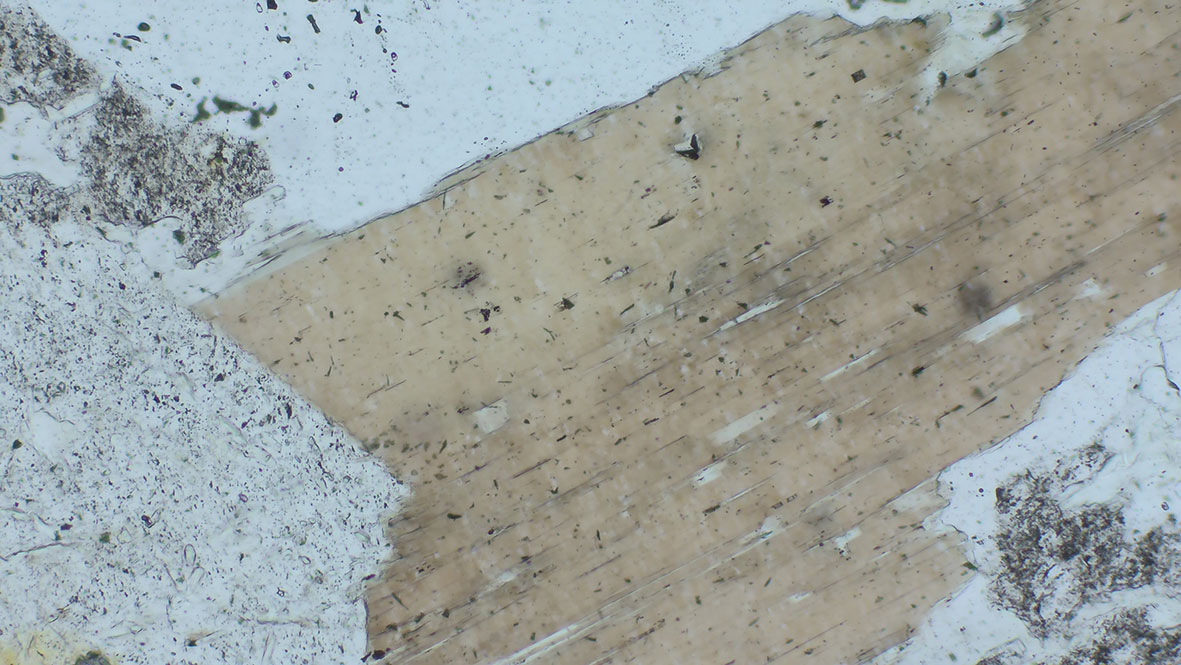 Biotite inside granite, transmitted light, bright field, EC Plan-NEOFLUAR 10×/0.3 Pol