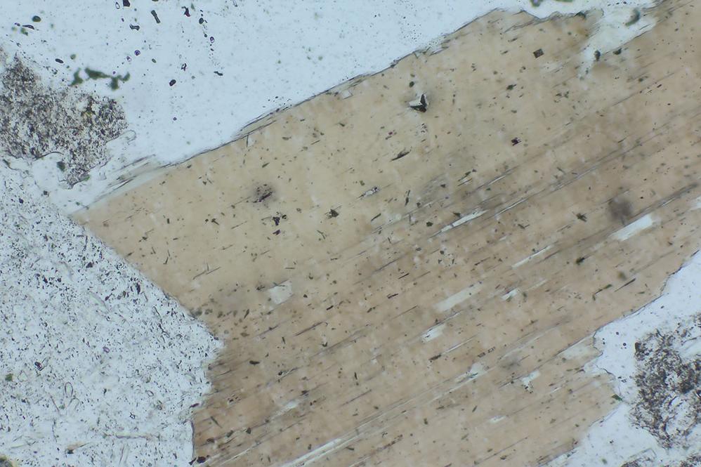 Biotite dans du granite, lumière transmise, champ clair, EC Plan-NEOFLUAR 10×/0.3 Pol