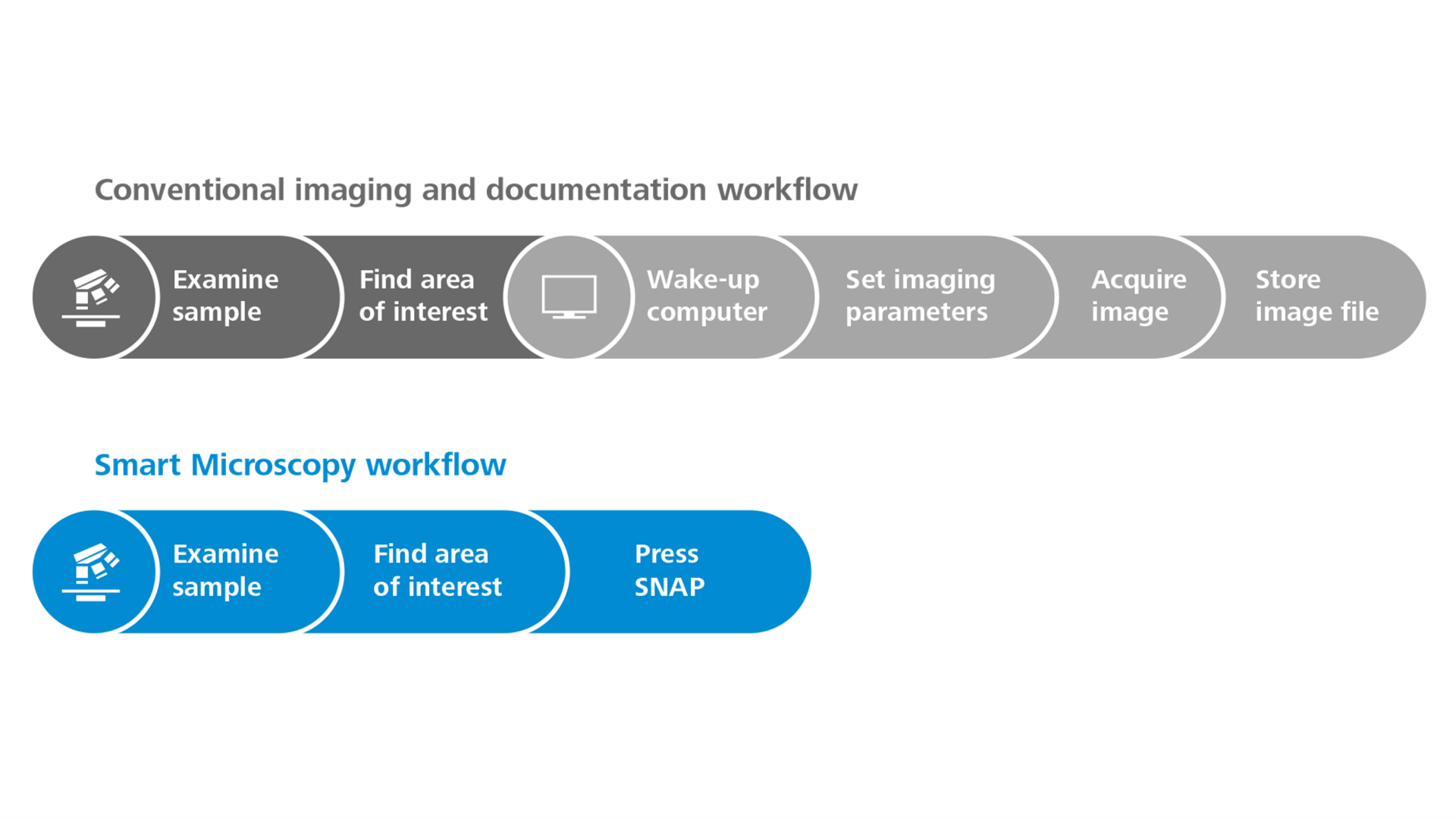 Axiolab 5 for Materials. Conventional imaging and documentation workflow