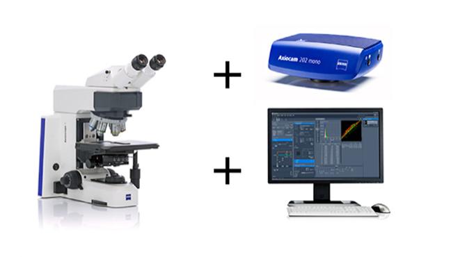 ZEISS ZEN für Forschungsanwendungen