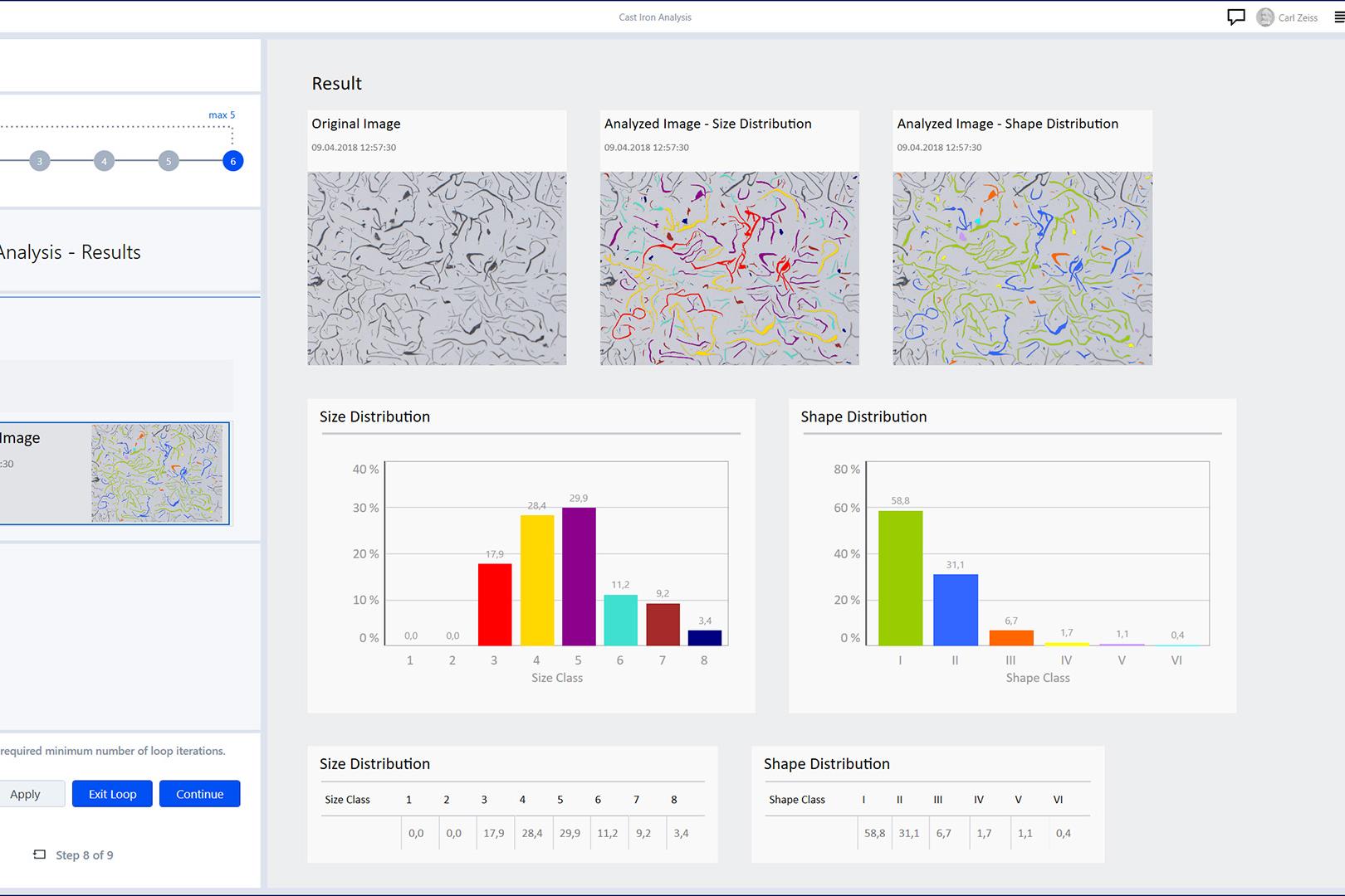 Gusseisen-Analyse – Segmentierung von Graphitpartikeln​