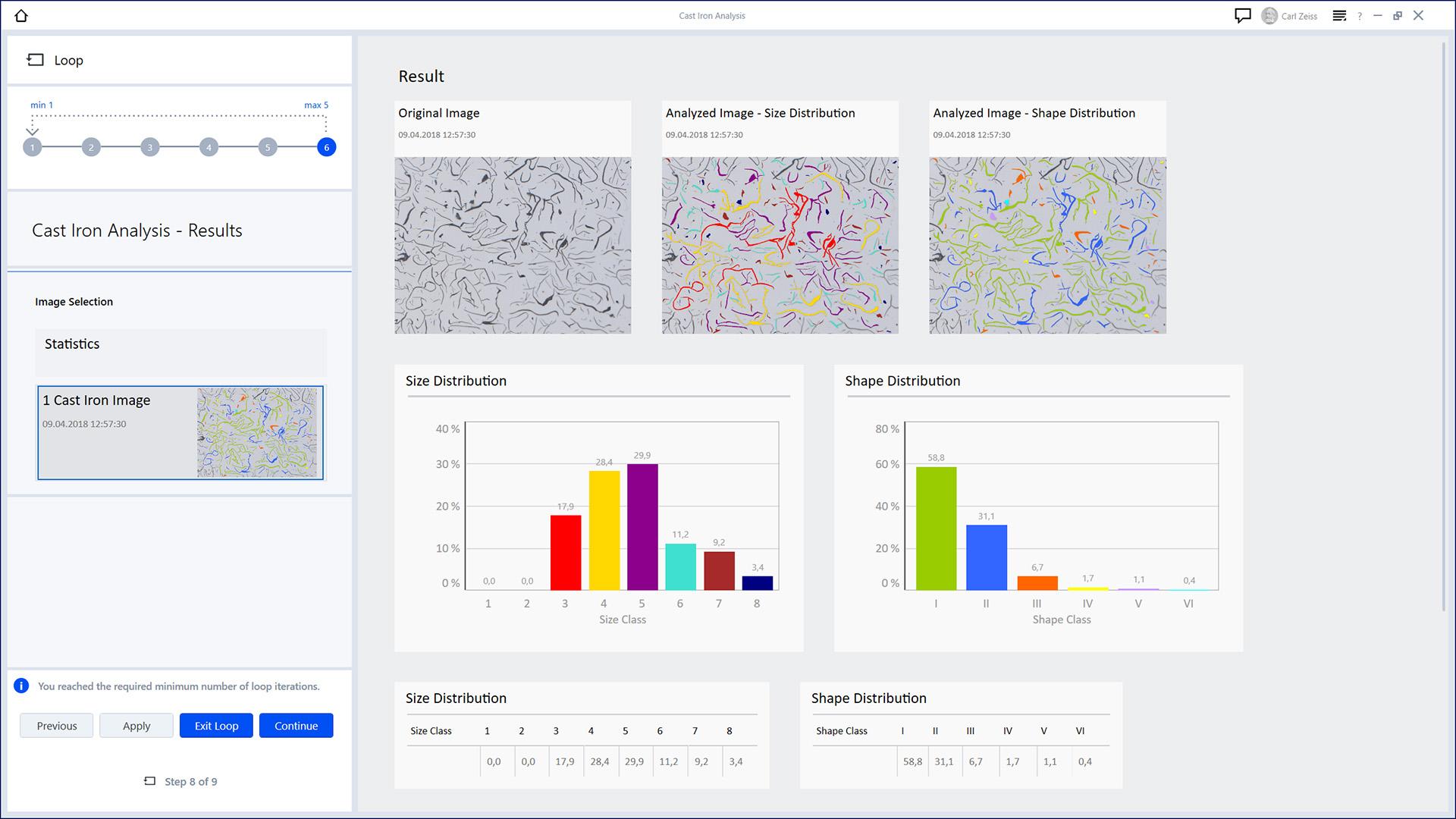 Gusseisen-Analyse – Segmentierung von Graphitpartikeln​