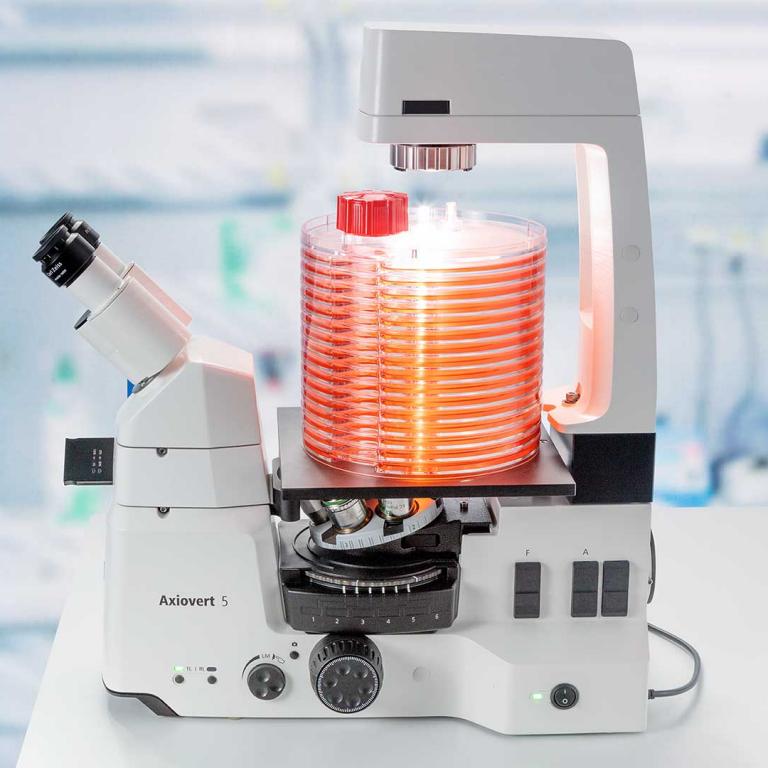 Axiovert 5 offers even enough space for cell factories.