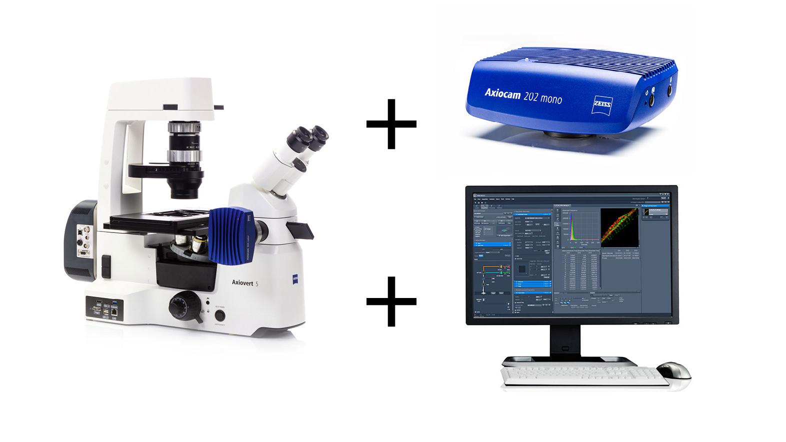 ZEISS ZEN für Forschungsanwendungen