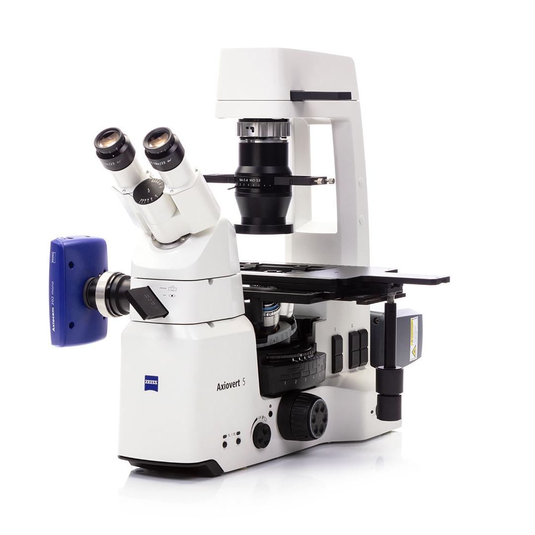 プロフ必読ファビビさま専用 ZEISS Axiovert 5 - 細胞培養と研究用の顕微鏡