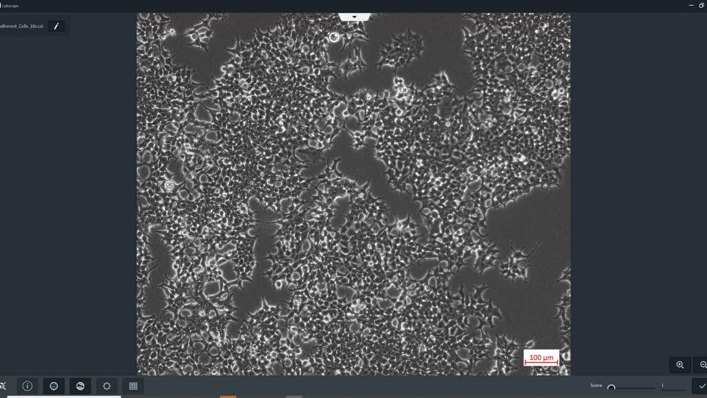 Module Labscope pour le comptage et la confluence des cellules. AI Cell Counting, AI Cell Confluency