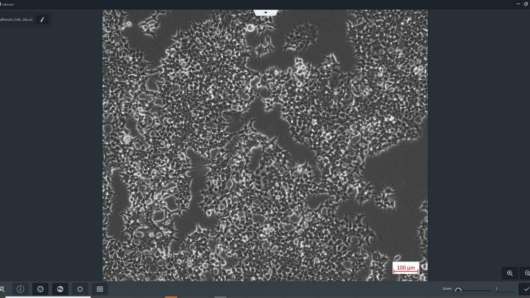 Module Labscope pour le comptage et la confluence des cellules. AI Cell Counting, AI Cell Confluency