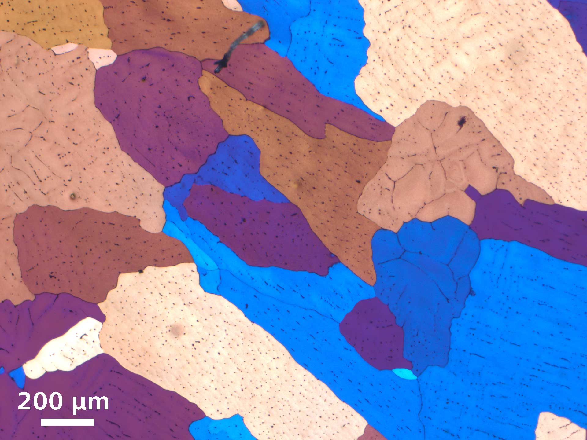 Eloxiertes Aluminium, Polarisationskontrast, EC Epiplan-Neofluar 5×/0,13