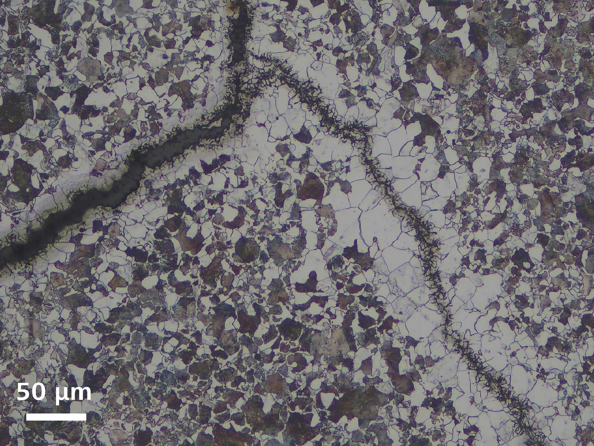 Fissure de dureté acier C60, champ clair, EC Epiplan 20×/0,4