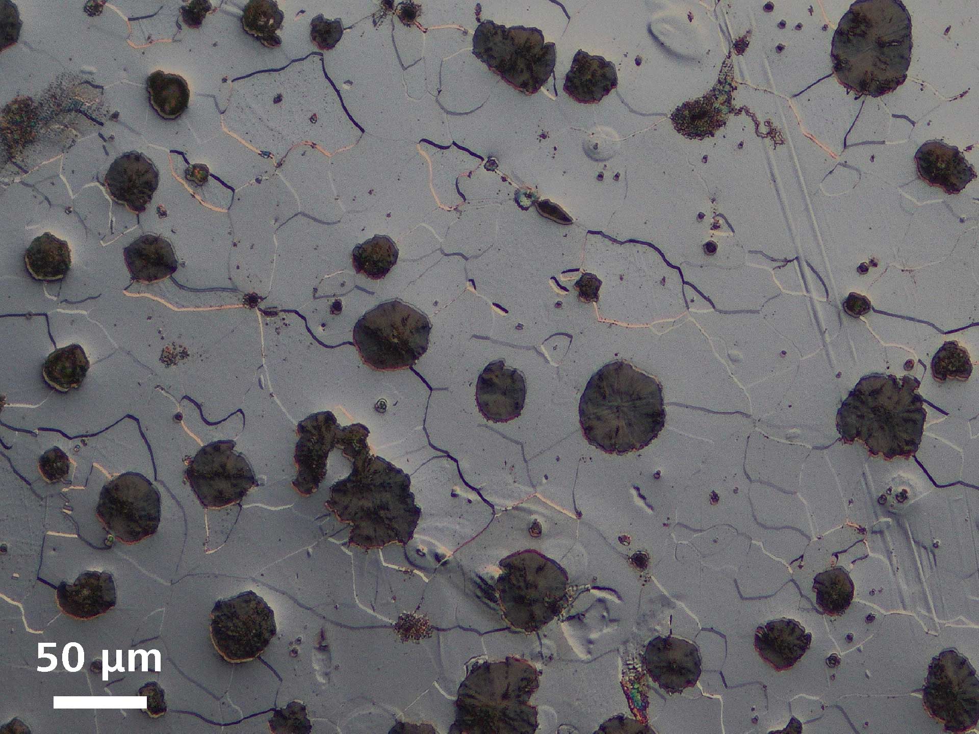 Cast Iron, Circular-Differential Interference Contrast (C-DIC) EC  Epiplan 20×/0.4