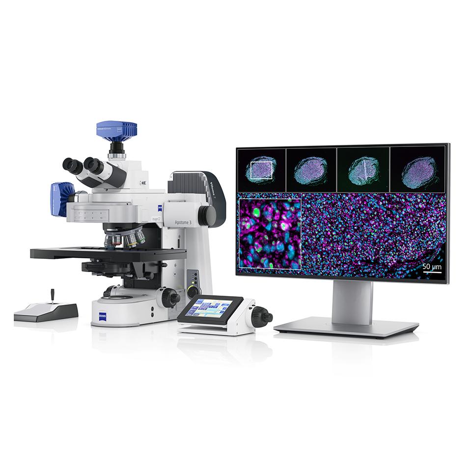 Axio Imager scan