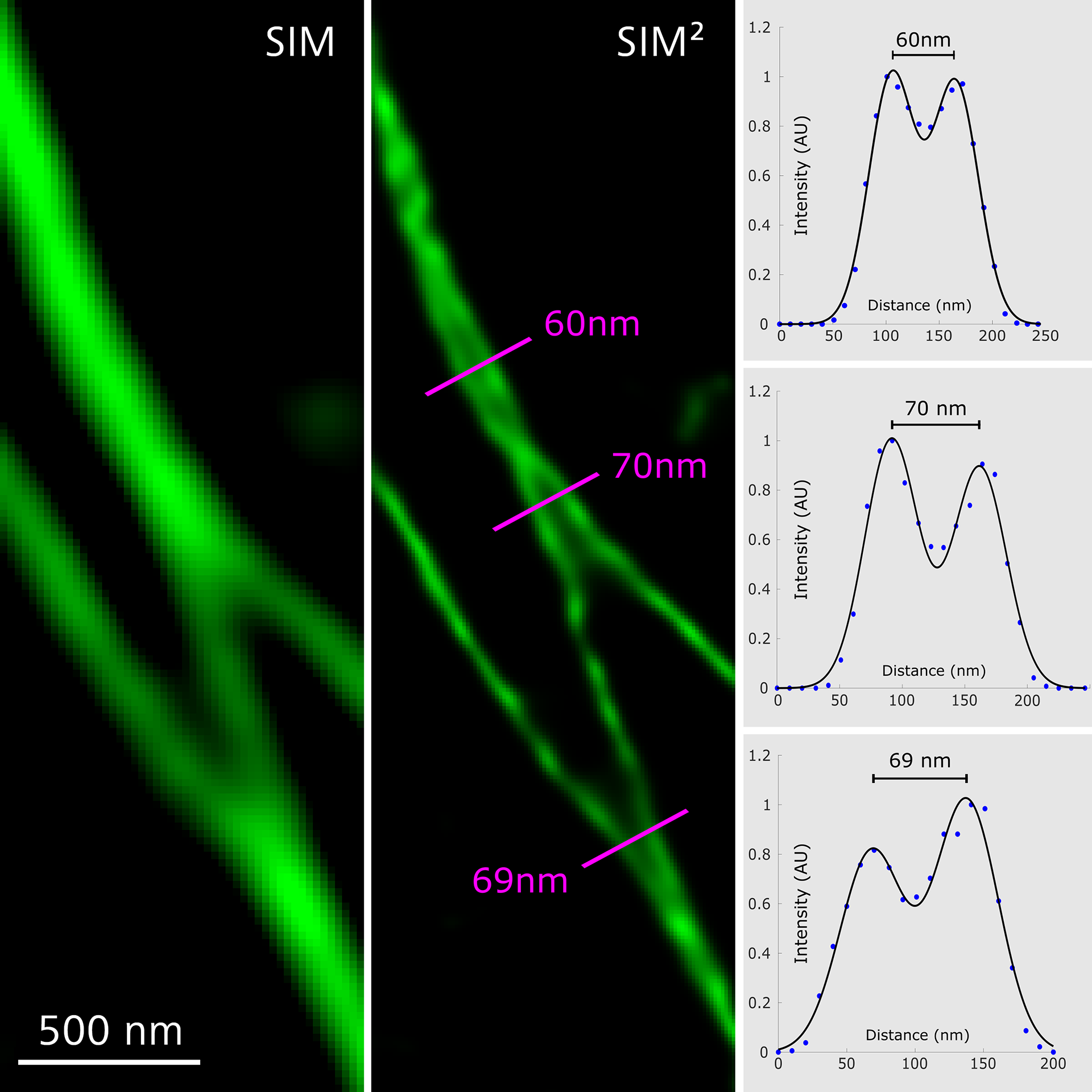 Cos-7细胞用α-微管蛋白抗体Alexa fluor 488染色，使用基于广义维纳滤波器的传统SIM算法以及新型SIM²重构技术来处理其图像。图像显示与SIM相比，SIM²的分辨率得到提高。物镜：Plan-Apochromat 63× / 1.4 Oil。