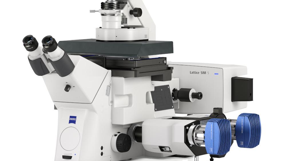 ZEISS Lattice SIM 5：最高60 nmの超解像イメージング