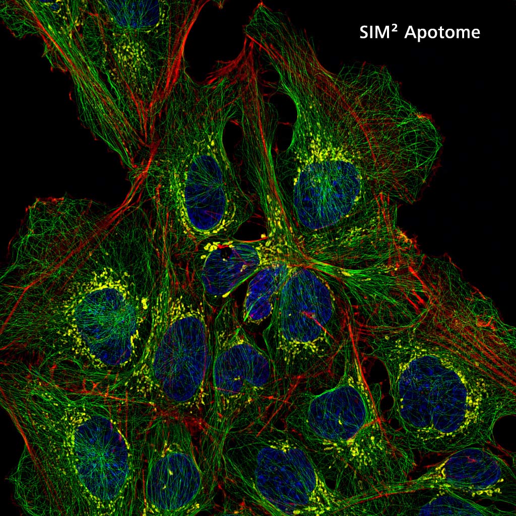 Widefield SIM Apotome